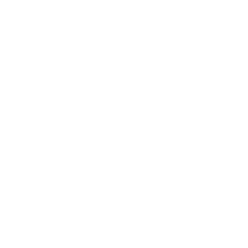 Audience Award (Runner Up) — Sydney Film Festival 2019