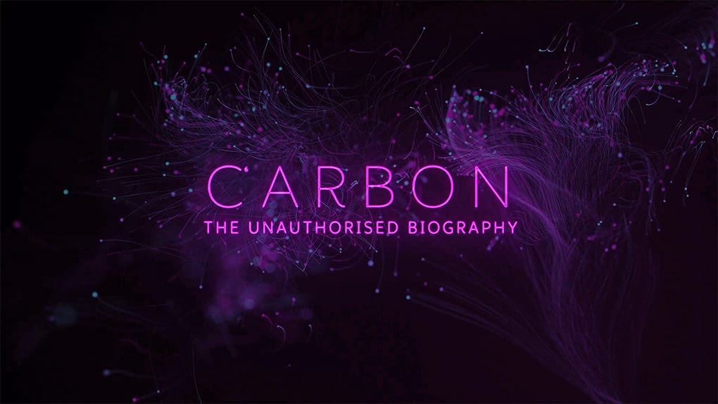 Carbon — the Unauthorised Biography