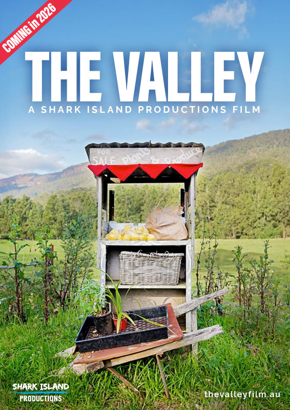 THE VALLEY poster