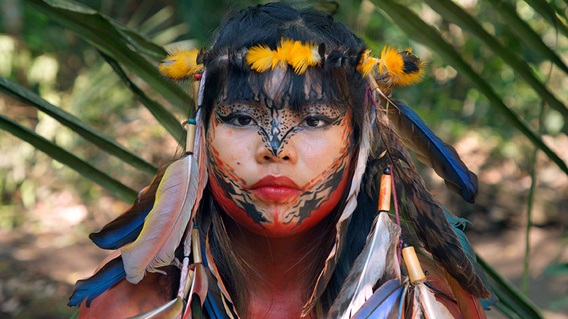 SHARK ISLAND FOUNDATION